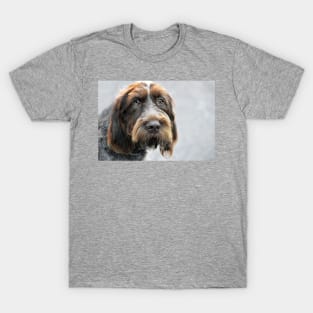 Portrait ~ Spinone Italiano dog T-Shirt